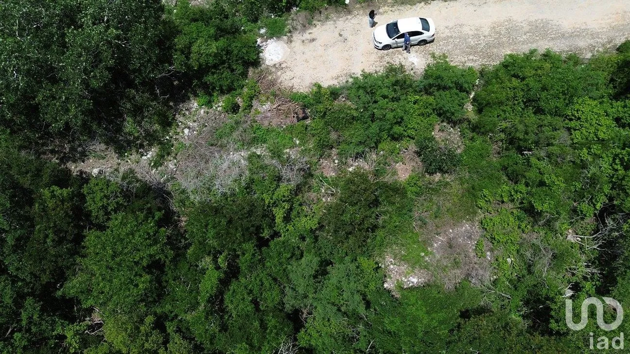 Terreno en Venta en Dzidzilché, Mérida, Yucatán | NEX-291428 | iad México | Foto 8 de 10