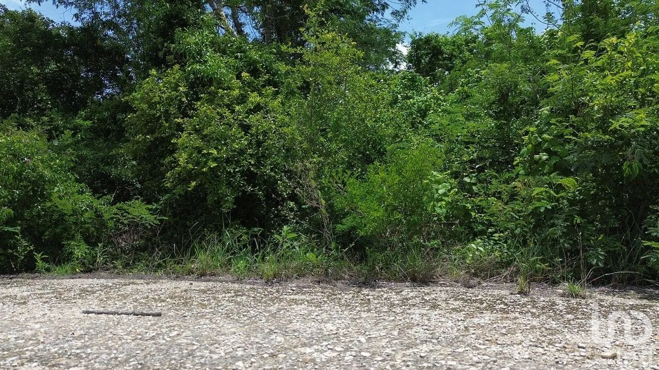 Terreno en Venta en Dzidzilché, Mérida, Yucatán | NEX-291428 | iad México | Foto 10 de 10