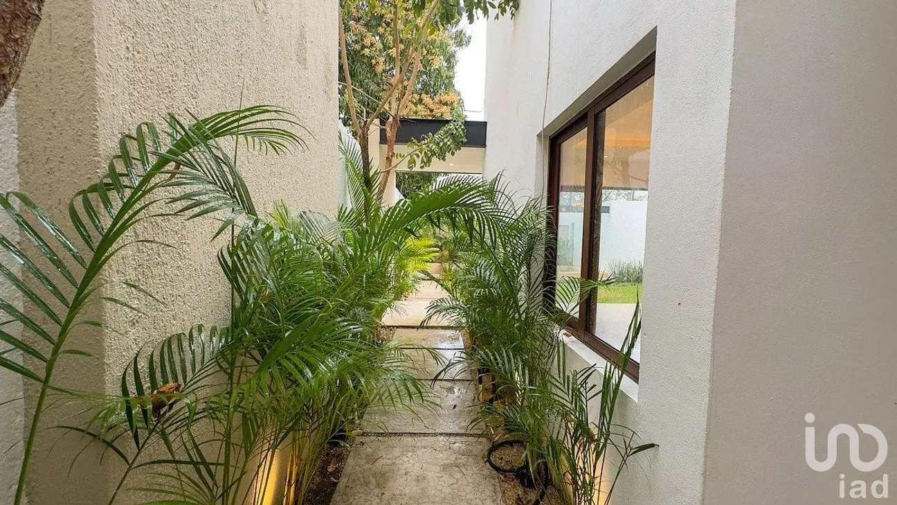 Casa en Venta en Residencial Colonia México, Mérida, Yucatán | NEX-291610 | iad México | Foto 37 de 50