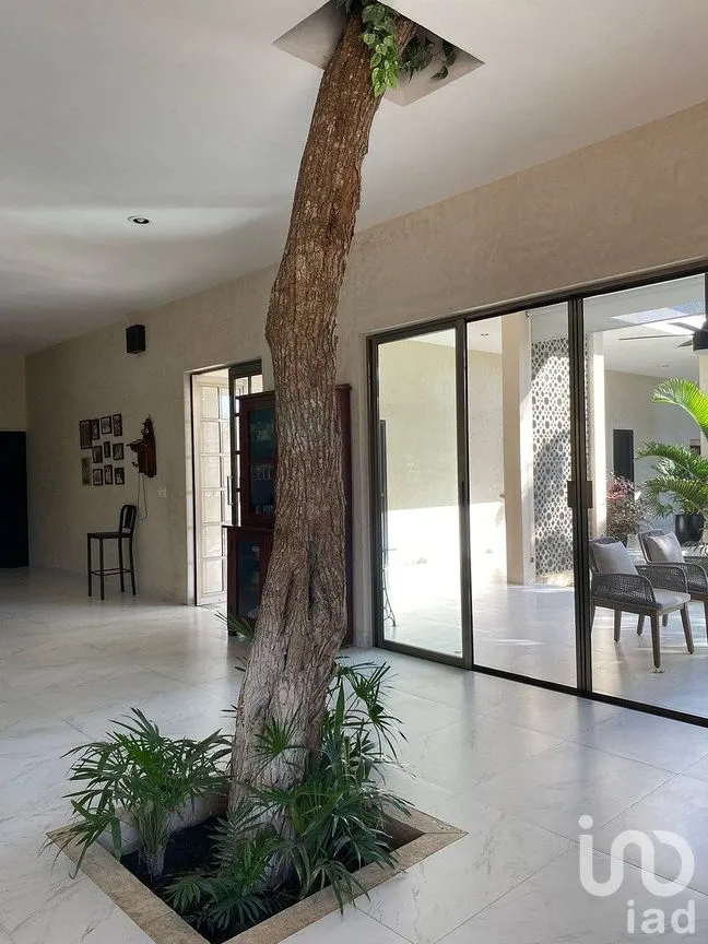 Casa en Venta en Dzibilchaltún, Mérida, Yucatán | NEX-292208 | iad México | Foto 26 de 50