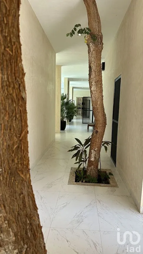 Casa en Venta en Dzibilchaltún, Mérida, Yucatán | NEX-292208 | iad México | Foto 47 de 50