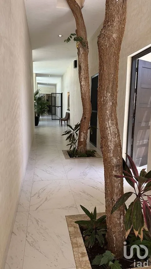 Casa en Venta en Dzibilchaltún, Mérida, Yucatán | NEX-292208 | iad México | Foto 49 de 50