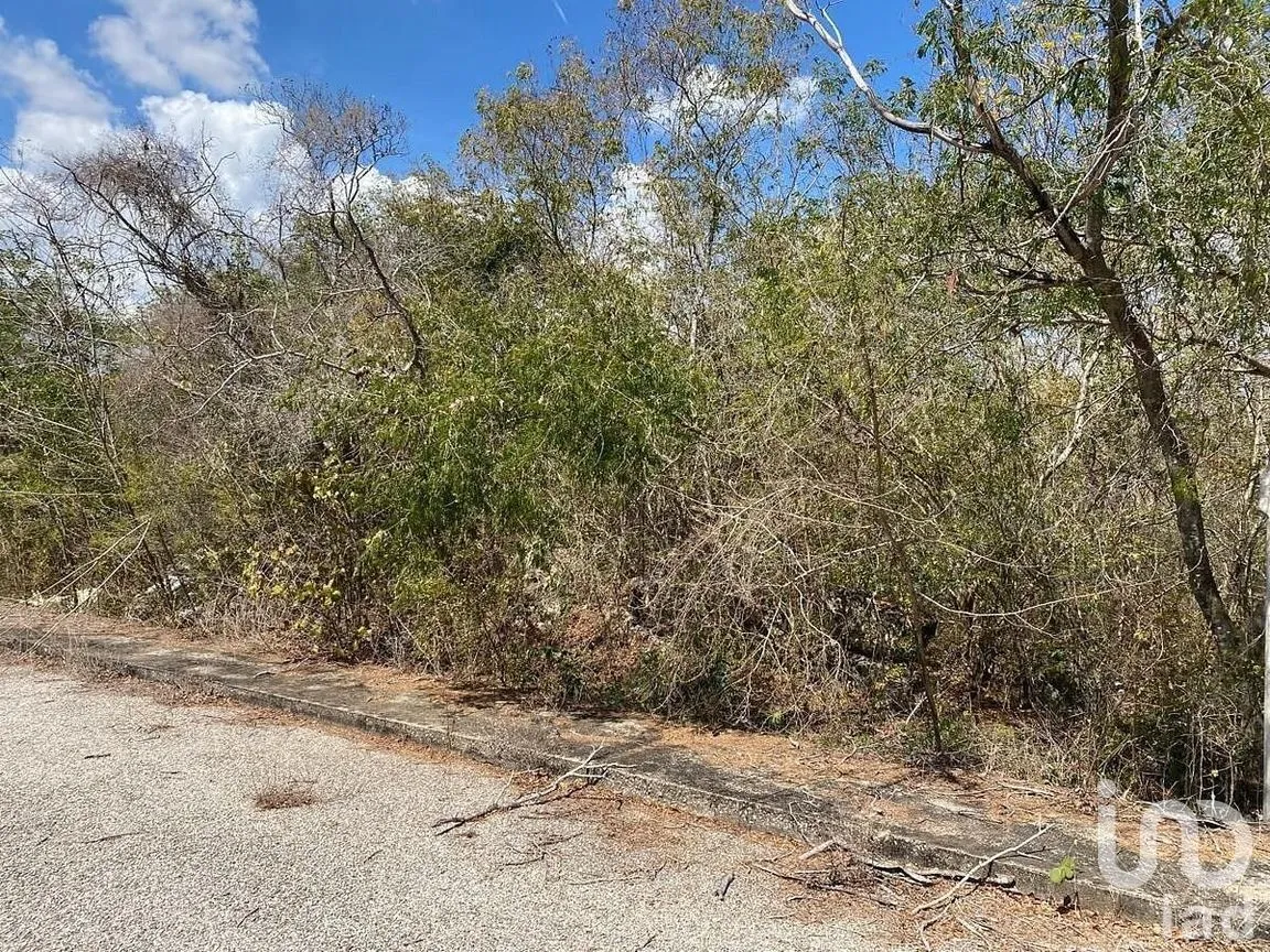 Terreno en Venta en Kikteil, Mérida, Yucatán | NEX-294635 | iad México | Foto 4 de 4