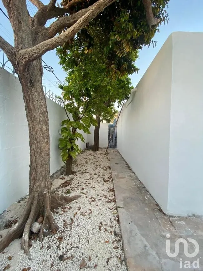 Casa en Venta en Montejo, Mérida, Yucatán | NEX-93217 | iad México | Foto 6 de 27