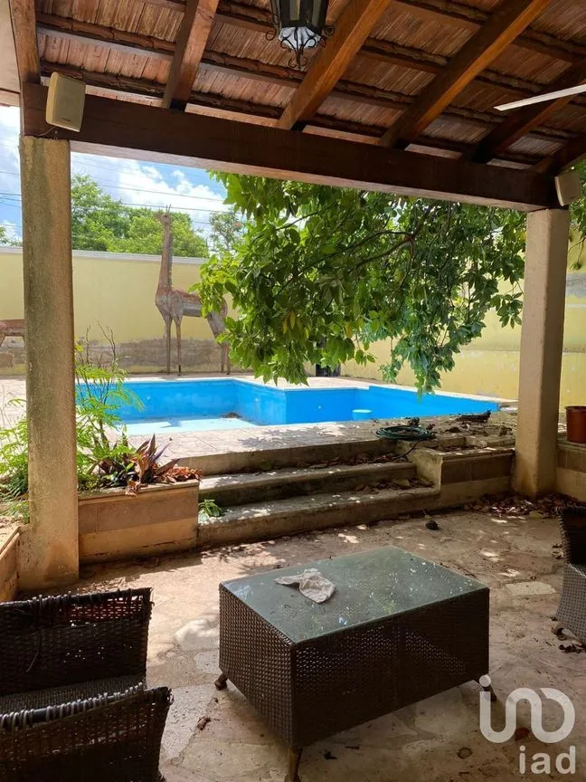 Casa en Renta en Santa Ana, Tizimín, Yucatán | NEX-96581 | iad México | Foto 10 de 22