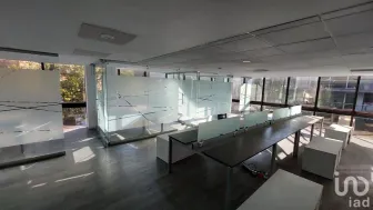 NEX-100372 - Oficina en Renta, con 2 baños, con 300 m2 de construcción en Polanco, CP 11510, Ciudad de México.