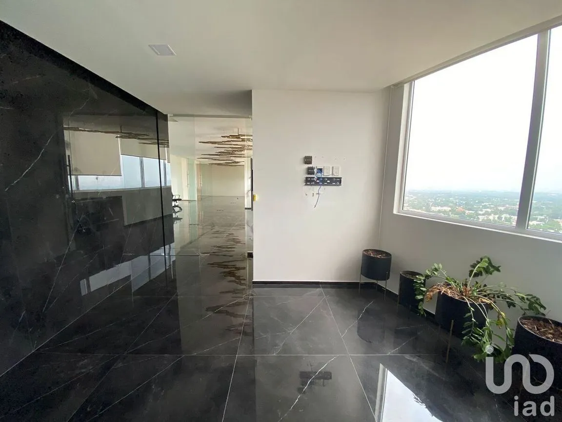 Oficina en Renta en Jardines del Pedregal, Álvaro Obregón, Ciudad de México | NEX-226676 | iad México | Foto 9 de 27