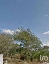 NEX-269069 - Terreno en Venta en San Jose, CP 97189, Yucatán.