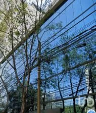 NEX-269071 - Oficina en Renta, con 2 baños, con 220 m2 de construcción.