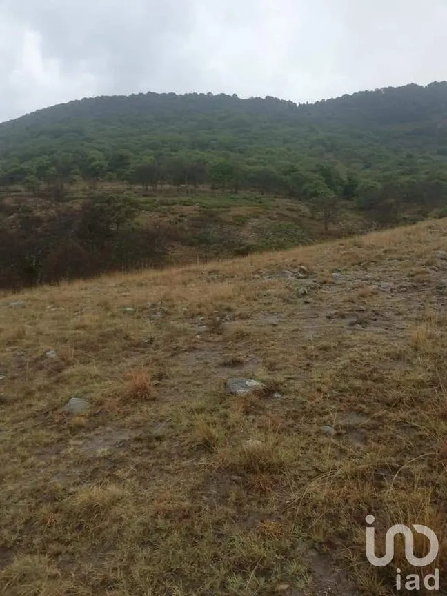 Terreno en Venta en Chitejé de la Cruz, Amealco de Bonfil, Querétaro | NEX-231151 | iad México | Foto 2 de 4