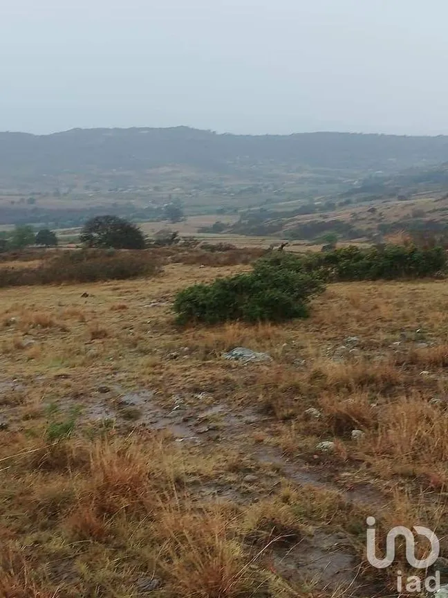 Terreno en Venta en Chitejé de la Cruz, Amealco de Bonfil, Querétaro | NEX-231151 | iad México | Foto 1 de 4