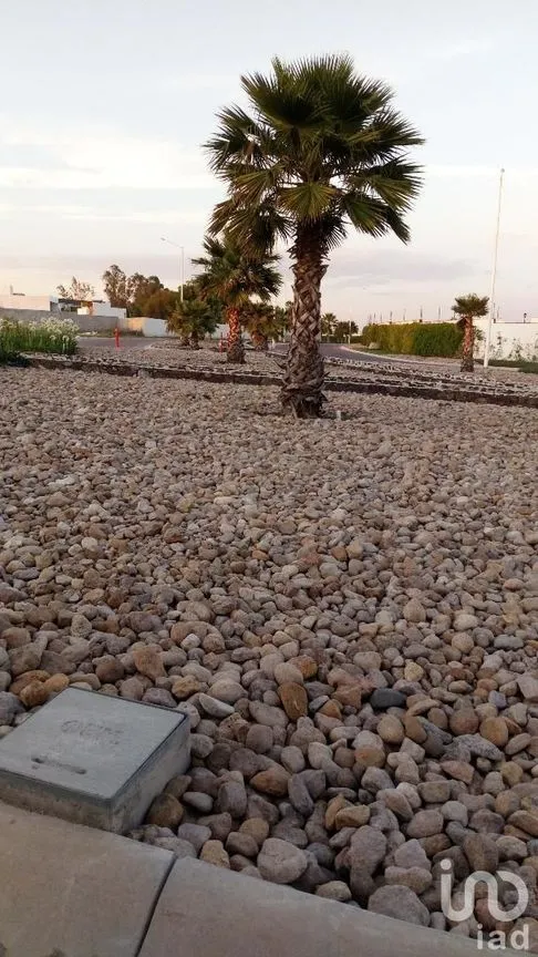 Terreno en Venta en Ciudad Maderas Residencial Querétaro, El Marqués, Querétaro | NEX-231165 | iad México | Foto 4 de 6