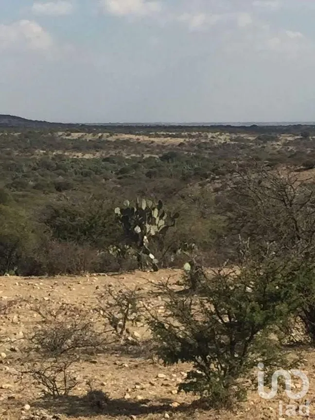 Terreno en Venta en Manzanillas, San Felipe, Guanajuato | NEX-231172 | iad México | Foto 14 de 26
