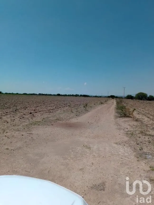 Terreno en Venta en Manzanillas, San Felipe, Guanajuato | NEX-231172 | iad México | Foto 15 de 26