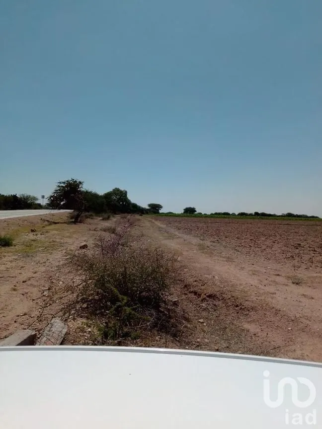 Terreno en Venta en Manzanillas, San Felipe, Guanajuato | NEX-231172 | iad México | Foto 17 de 26