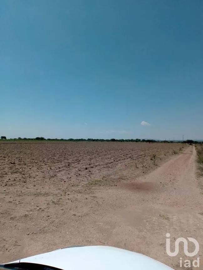 Terreno en Venta en Manzanillas, San Felipe, Guanajuato | NEX-231172 | iad México | Foto 18 de 26
