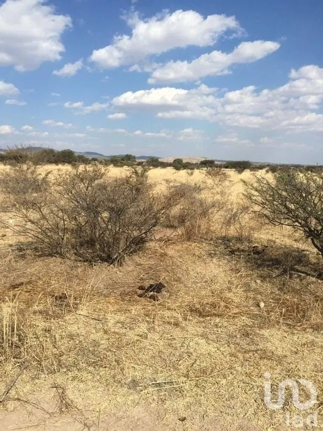 Terreno en Venta en Manzanillas, San Felipe, Guanajuato | NEX-231172 | iad México | Foto 19 de 26