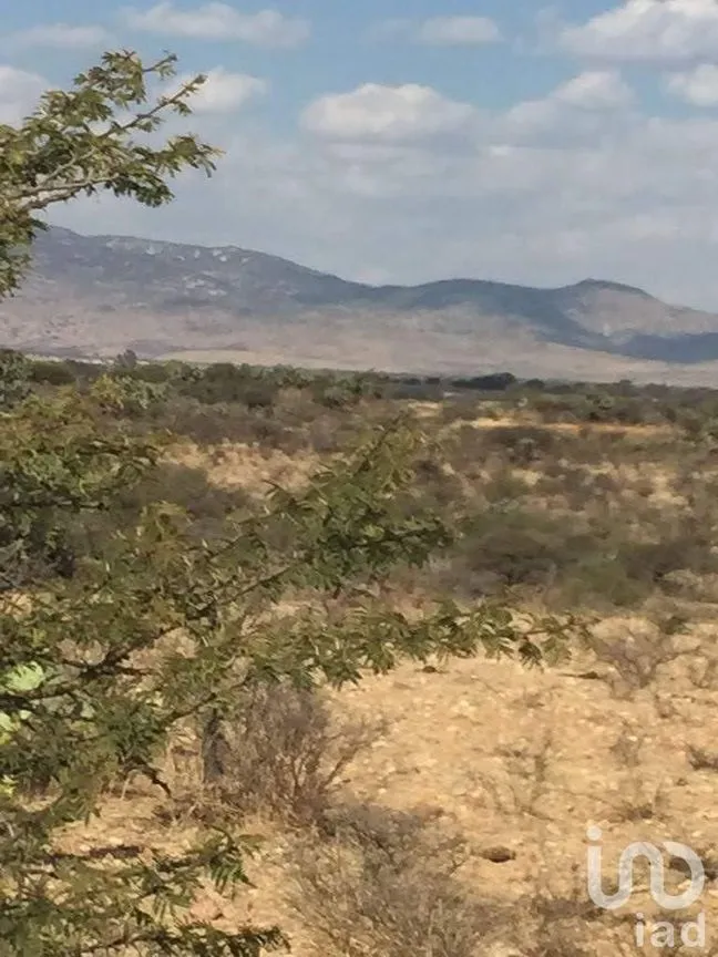 Terreno en Venta en Manzanillas, San Felipe, Guanajuato | NEX-231172 | iad México | Foto 21 de 26