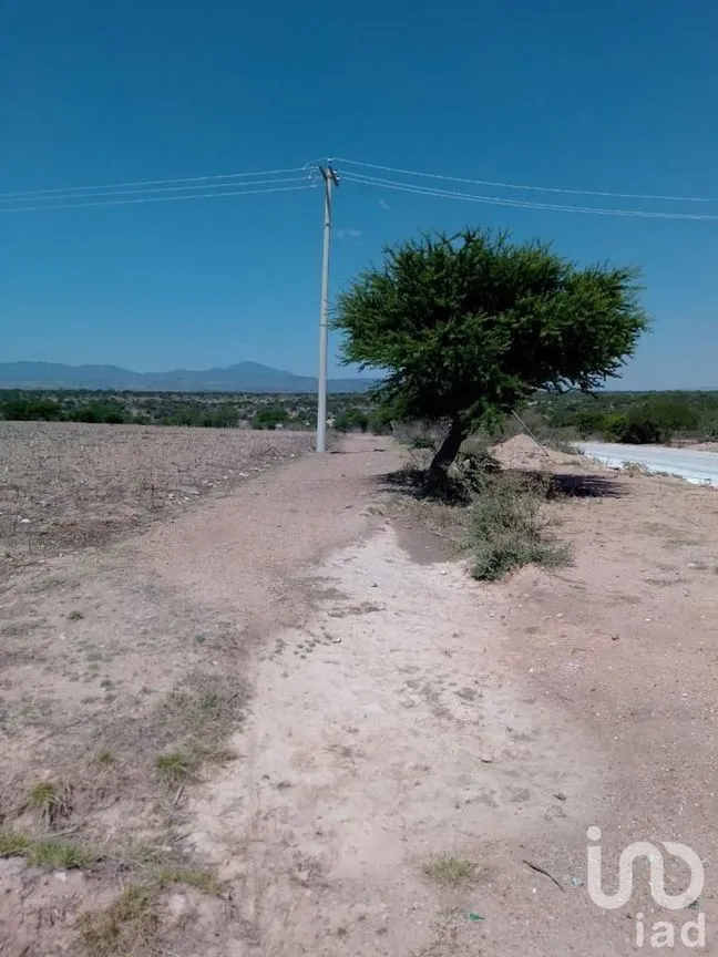 Terreno en Venta en Manzanillas, San Felipe, Guanajuato | NEX-231172 | iad México | Foto 23 de 26