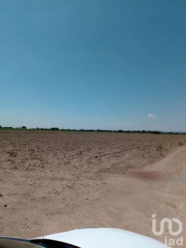Terreno en Venta en Manzanillas, San Felipe, Guanajuato | NEX-231172 | iad México | Foto 24 de 26