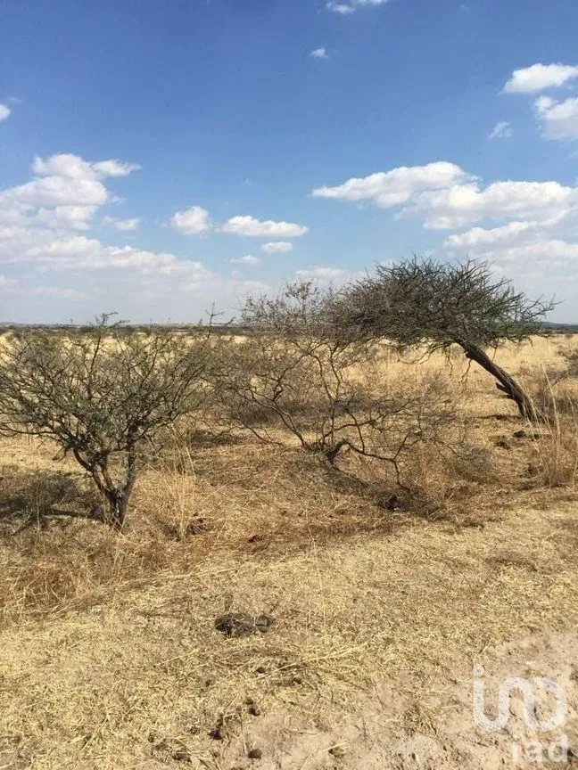 Terreno en Venta en Manzanillas, San Felipe, Guanajuato | NEX-231172 | iad México | Foto 25 de 26