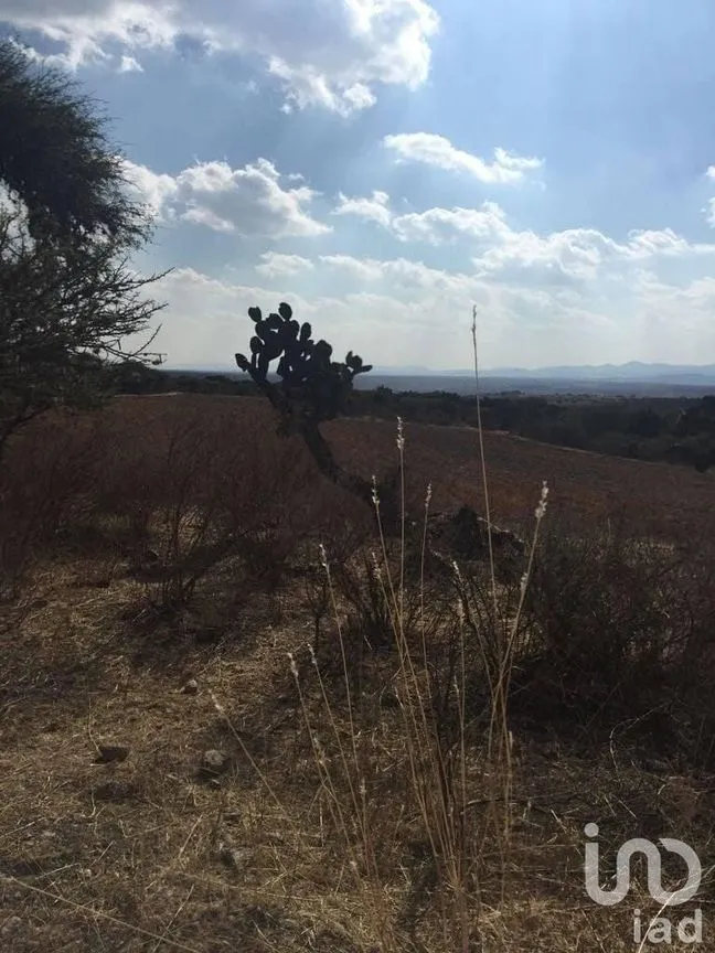 Terreno en Venta en Manzanillas, San Felipe, Guanajuato | NEX-231172 | iad México | Foto 26 de 26