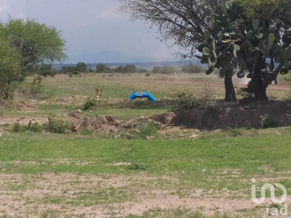 Terreno en Venta en Manzanillas, San Felipe, Guanajuato | NEX-231172 | iad México | Foto 6 de 26
