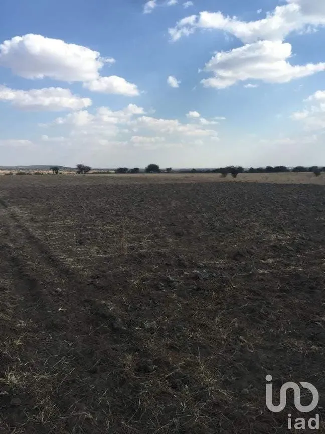 Terreno en Venta en Manzanillas, San Felipe, Guanajuato | NEX-231172 | iad México | Foto 7 de 26