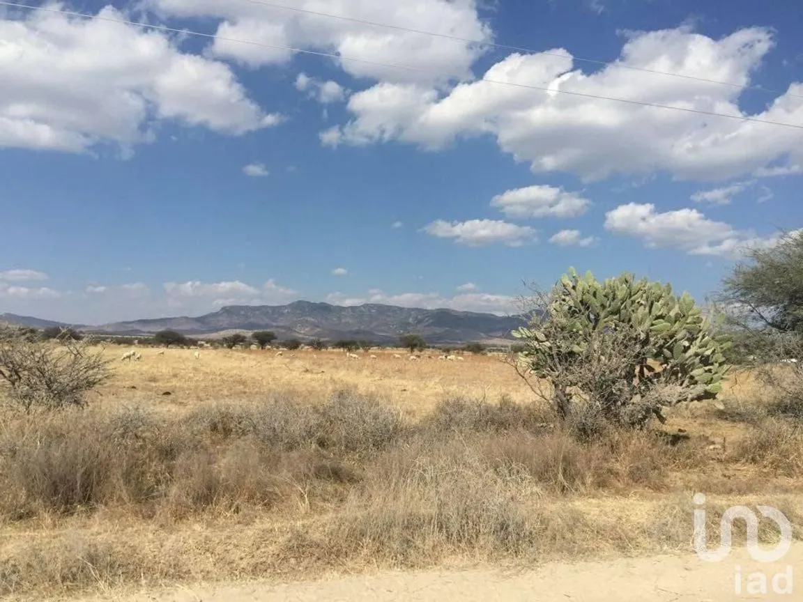 Terreno en Venta en Manzanillas, San Felipe, Guanajuato | NEX-231172 | iad México | Foto 8 de 26