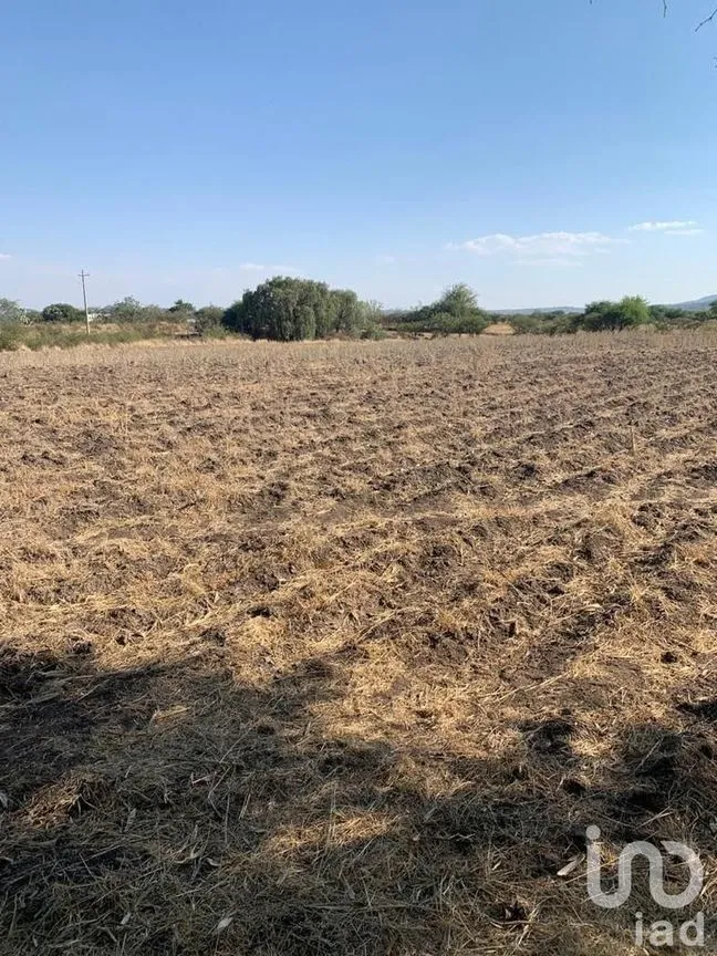 Terreno en Venta en Manzanillas, San Felipe, Guanajuato | NEX-231172 | iad México | Foto 10 de 26