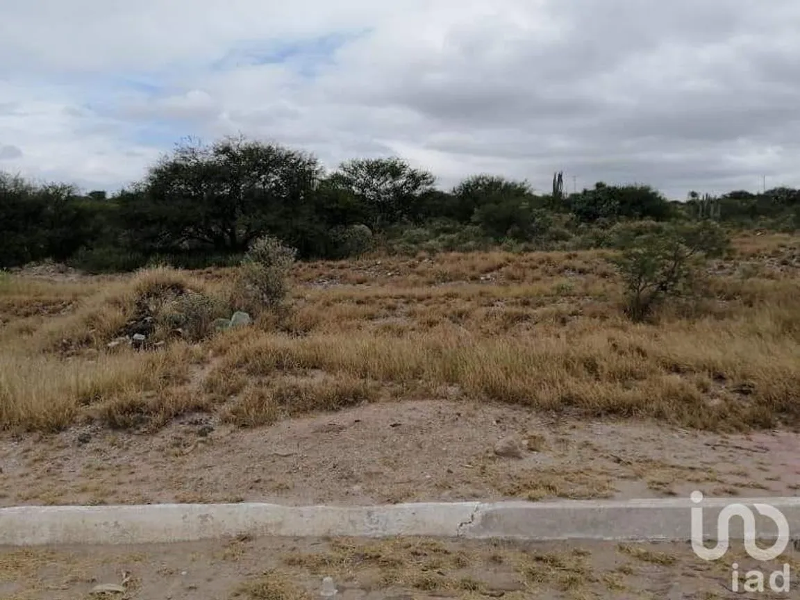 Terreno en Venta en Vicente Guerrero, Tecozautla, Hidalgo | NEX-231177 | iad México | Foto 3 de 4