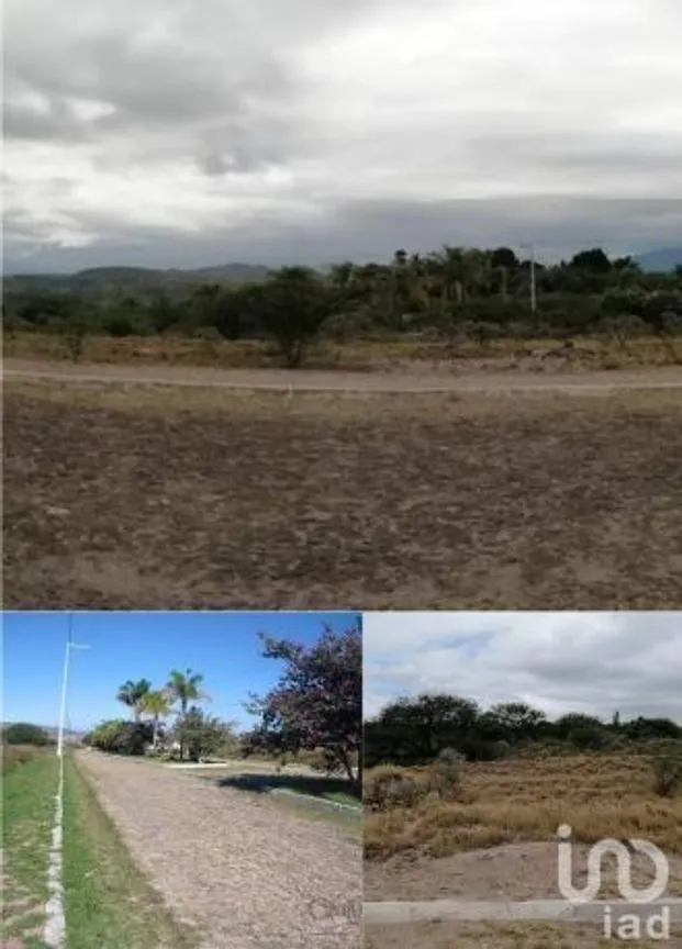 Terreno en Venta en Vicente Guerrero, Tecozautla, Hidalgo | NEX-231177 | iad México | Foto 4 de 4