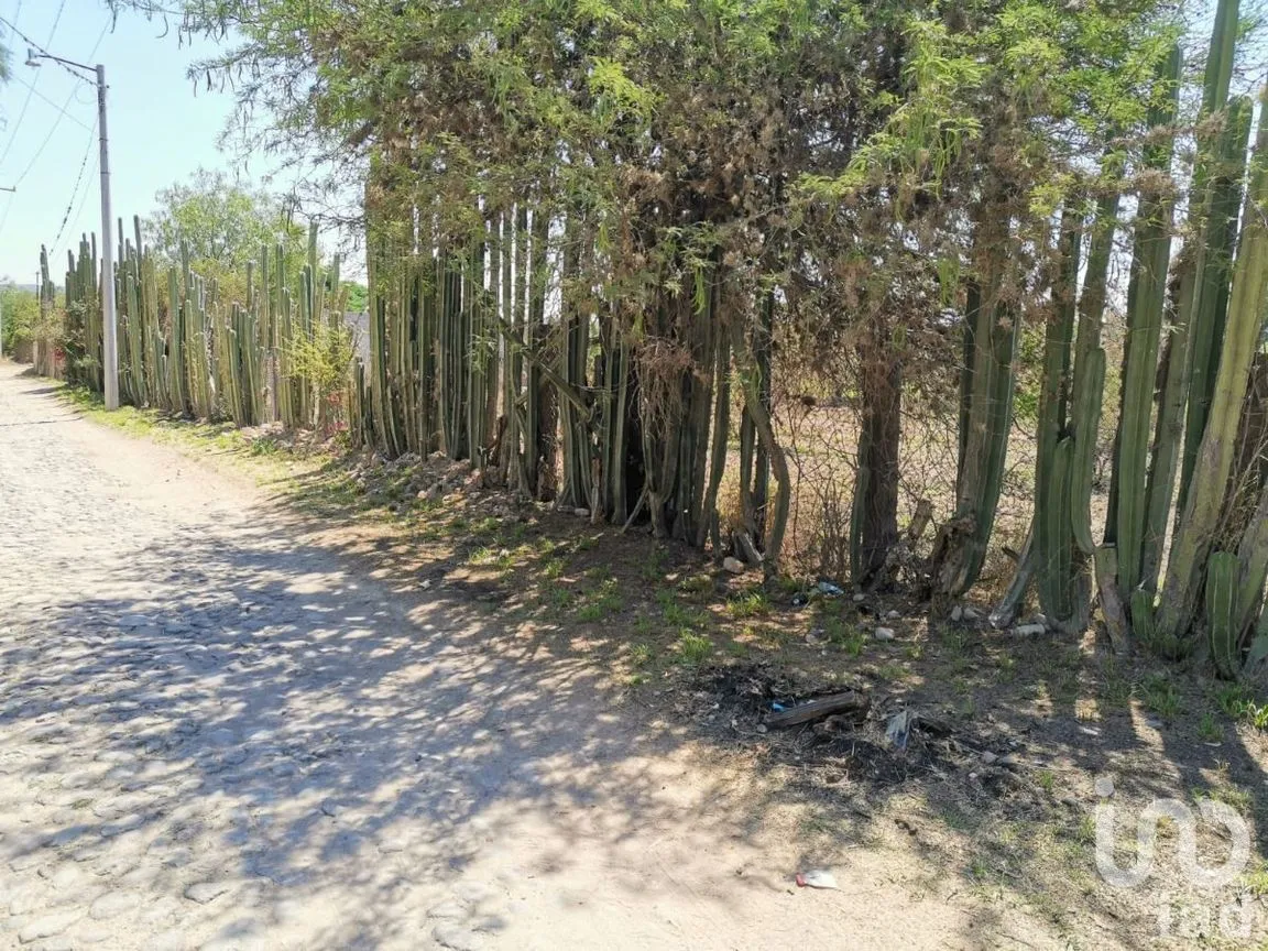 Terreno en Venta en La Magdalena, Tequisquiapan, Querétaro | NEX-231179 | iad México | Foto 3 de 11