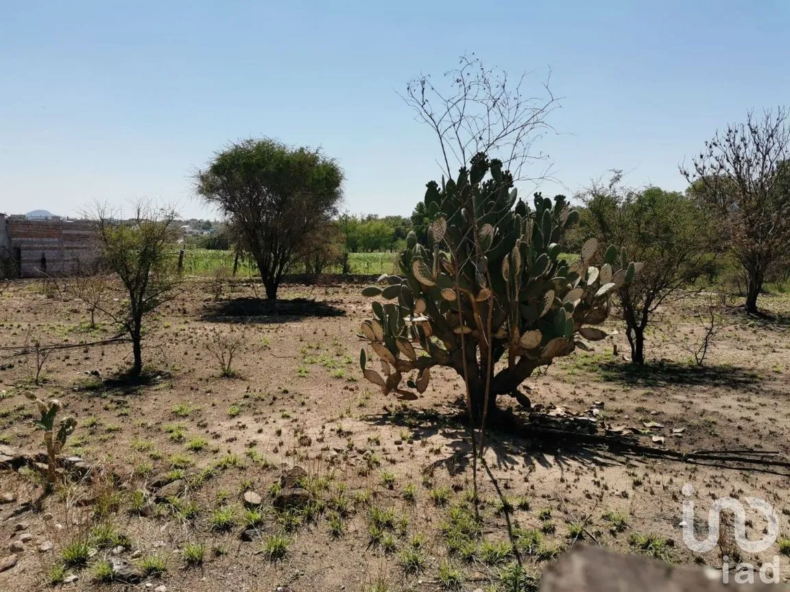 Terreno en Venta en La Magdalena, Tequisquiapan, Querétaro | NEX-231179 | iad México | Foto 5 de 11