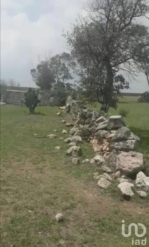 Terreno en Venta en San Nicolás de los Cerritos, Polotitlán, Estado De México | NEX-231181 | iad México | Foto 2 de 4