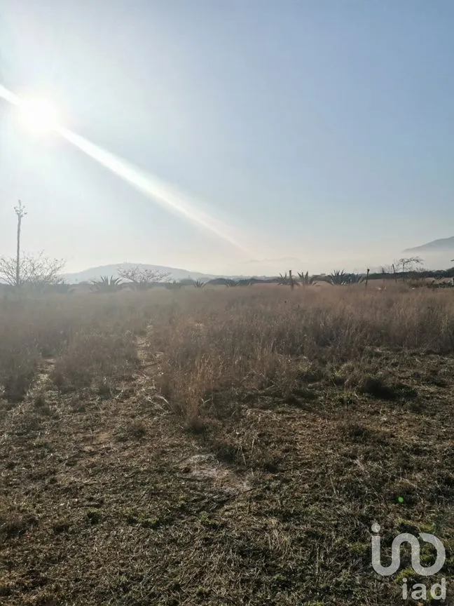 Terreno en Venta en Tequisquiapan Centro, Tequisquiapan, Querétaro | NEX-231182 | iad México | Foto 2 de 7