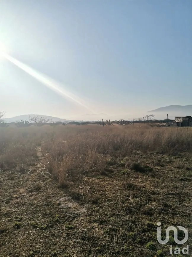 Terreno en Venta en Tequisquiapan Centro, Tequisquiapan, Querétaro | NEX-231182 | iad México | Foto 4 de 7