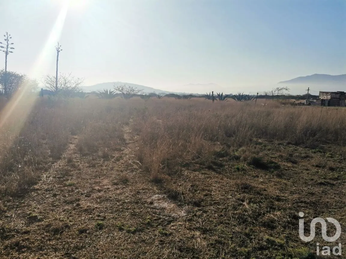 Terreno en Venta en Tequisquiapan Centro, Tequisquiapan, Querétaro | NEX-231182 | iad México | Foto 5 de 7