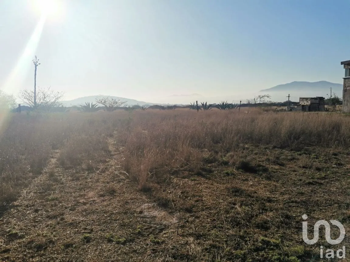 Terreno en Venta en Tequisquiapan Centro, Tequisquiapan, Querétaro | NEX-231182 | iad México | Foto 6 de 7