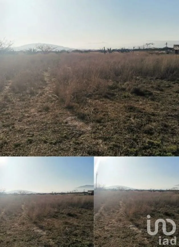 Terreno en Venta en Tequisquiapan Centro, Tequisquiapan, Querétaro | NEX-231182 | iad México | Foto 7 de 7