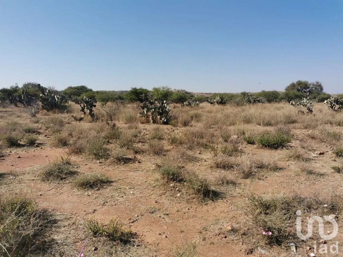 Terreno en Venta en El Ciervo, Ezequiel Montes, Querétaro | NEX-231184 | iad México | Foto 2 de 14