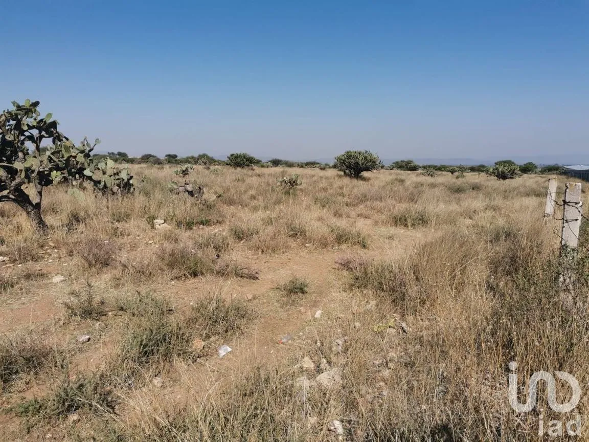 Terreno en Venta en El Ciervo, Ezequiel Montes, Querétaro | NEX-231184 | iad México | Foto 3 de 14