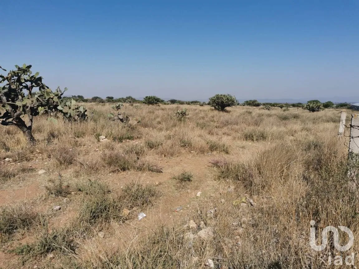 Terreno en Venta en El Ciervo, Ezequiel Montes, Querétaro | NEX-231184 | iad México | Foto 4 de 14