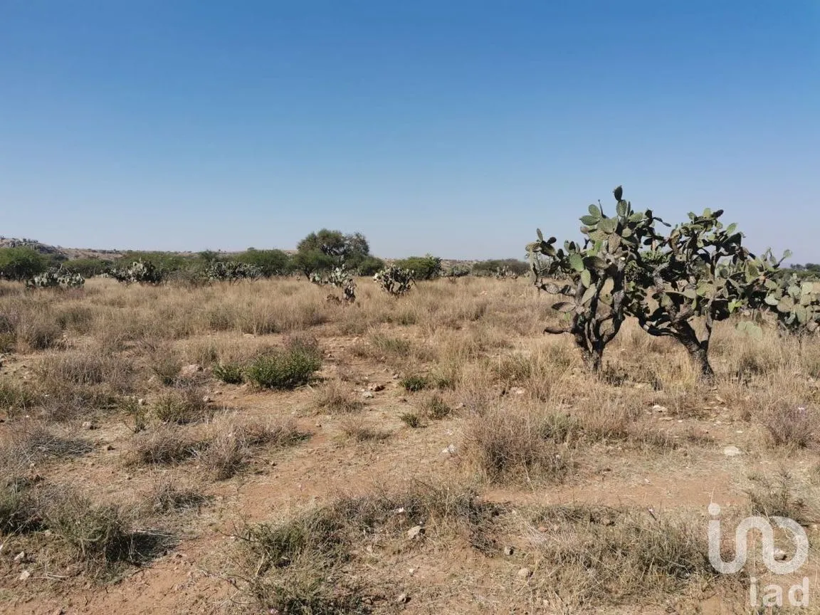Terreno en Venta en El Ciervo, Ezequiel Montes, Querétaro | NEX-231184 | iad México | Foto 5 de 14
