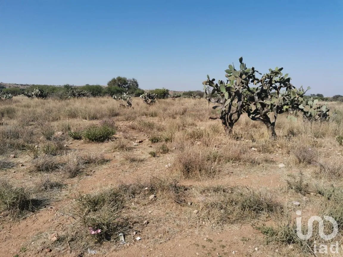 Terreno en Venta en El Ciervo, Ezequiel Montes, Querétaro | NEX-231184 | iad México | Foto 7 de 14