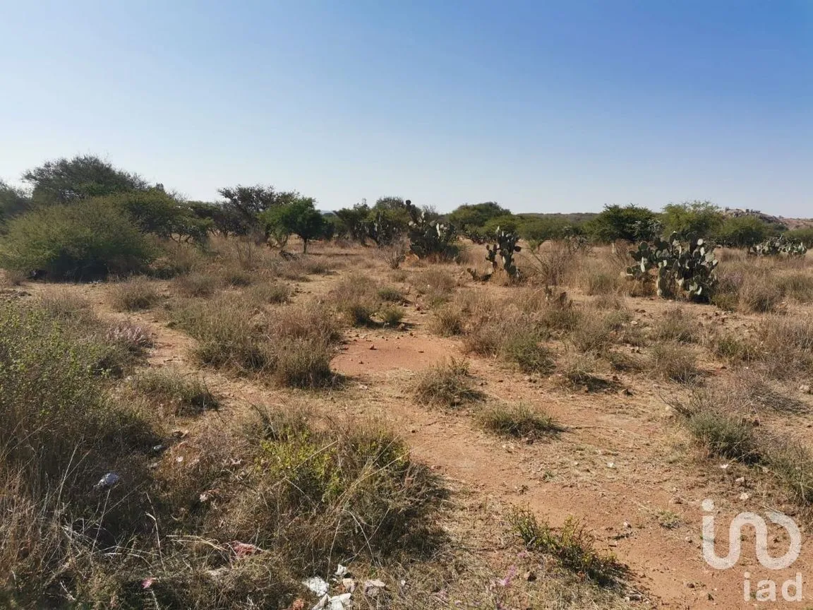 Terreno en Venta en El Ciervo, Ezequiel Montes, Querétaro | NEX-231184 | iad México | Foto 8 de 14
