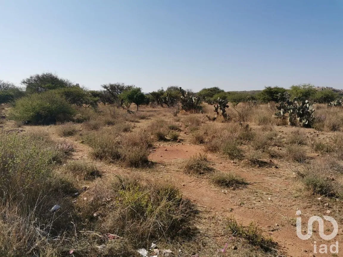 Terreno en Venta en El Ciervo, Ezequiel Montes, Querétaro | NEX-231184 | iad México | Foto 9 de 14