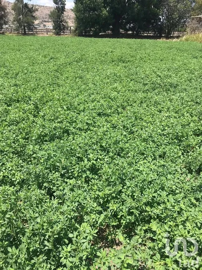 Terreno en Venta en Santa María Nativitas, Colón, Querétaro | NEX-231234 | iad México | Foto 3 de 5