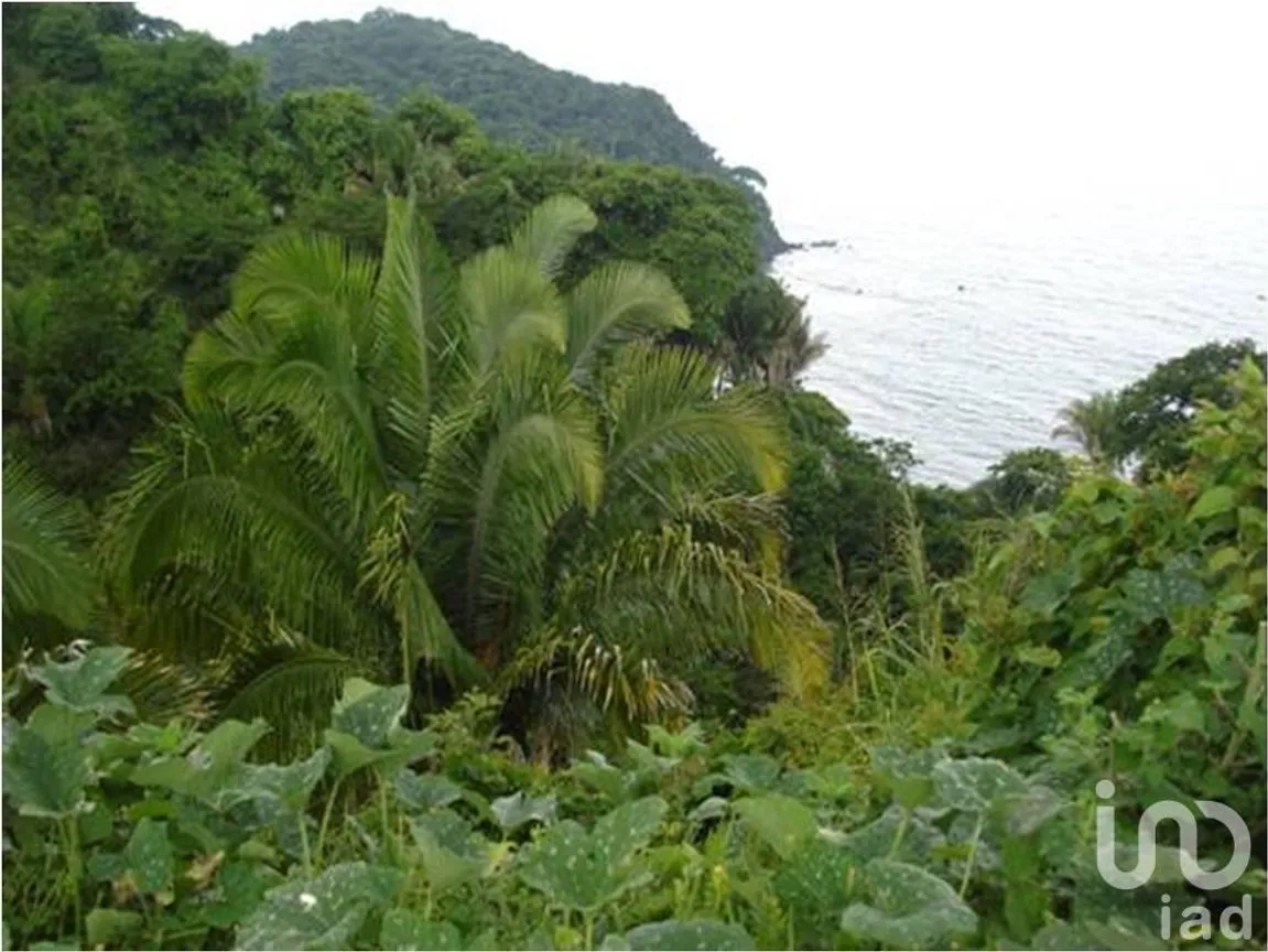 Terreno en Venta en Lo de Marcos, Bahía de Banderas, Nayarit | NEX-231241 | iad México | Foto 7 de 12