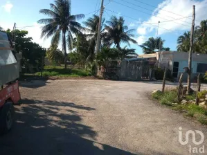 NEX-105994 - Terreno en Venta en El Cuyo, CP 97707, Yucatán.